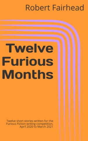 Twelve Furious Months eBook