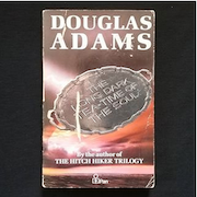 The Long Dark Tea-Time of the Soul - Douglas Adams