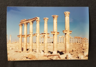 Syrians Love Peace - Palmyra columns
